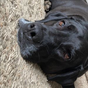 Meet your Posher, Clayton